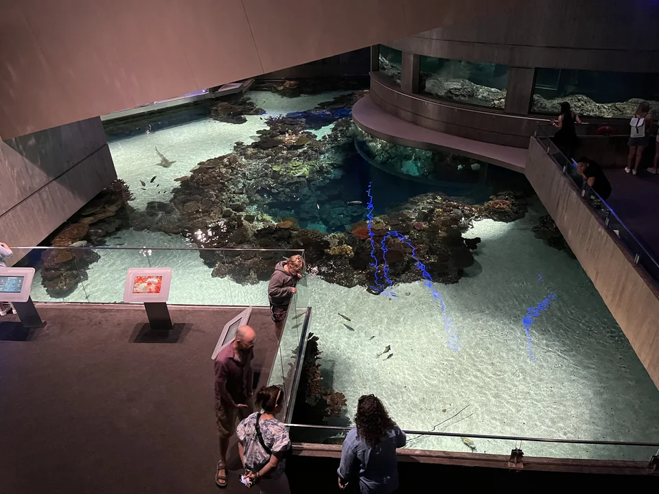 Aquatic habitat exhibit inside the National Aquarium in Baltimore